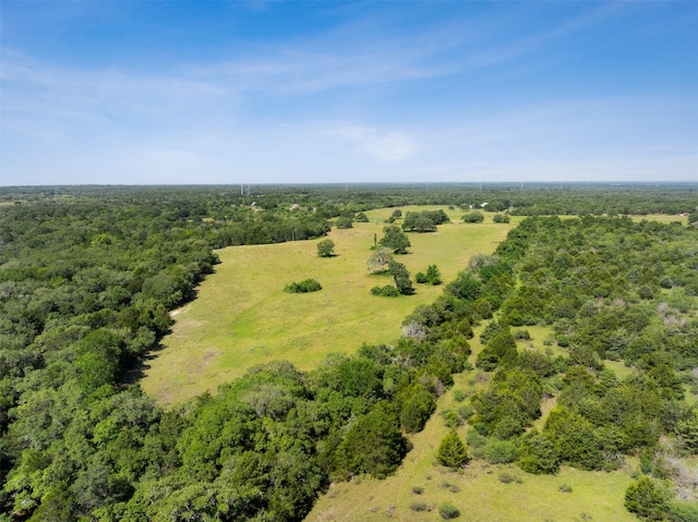 4431 Boulton Creek Rd, Muldoon, TX 78949