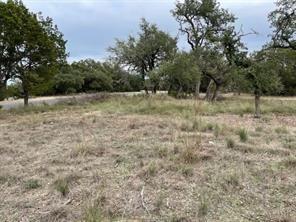 18005 Kingfisher Ridge Dr, Austin, TX 78645 - photo 1