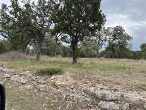 18005 Kingfisher Ridge Dr, Austin, TX 78645 - photo 2