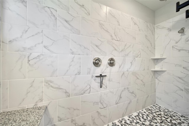 28111 Middlewater View Ln, Katy, TX 77494 - full bath with tiled shower