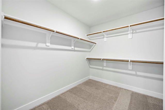 4019 Baja Ln, Houston, TX 77045 - photo 25