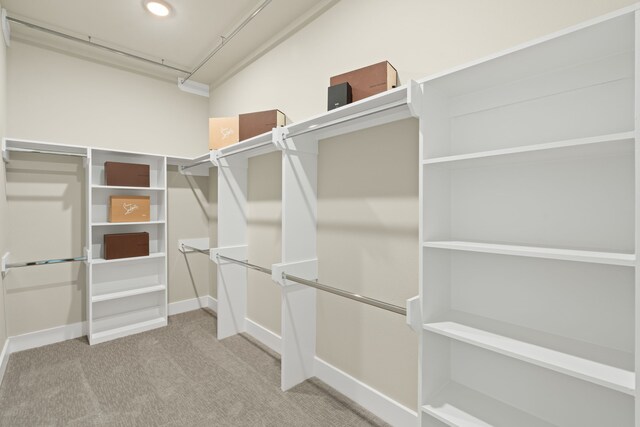 5809 Francis Oak Pl, Houston, TX 77091 - walk in closet with light colored carpet