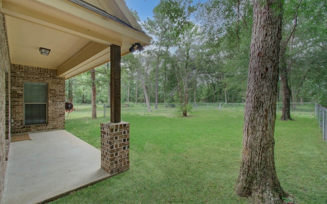 9107 Black Buck Ln, Conroe, TX 77303 - view of yard featuring a patio