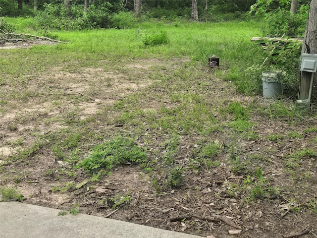9107 Black Buck Ln, Conroe, TX 77303 - view of yard