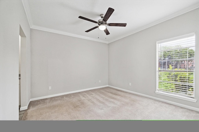 9707 Richmond Ave Unit 3, Houston, TX 77042 - carpeted spare room with ornamental molding, ceiling fan, and baseboards