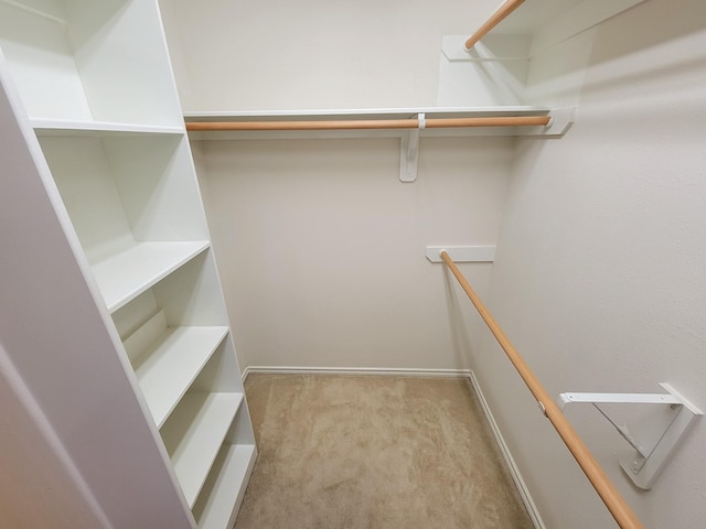 6135 Shelbourne Park Ln, Houston, TX 77084 - walk in closet with carpet flooring