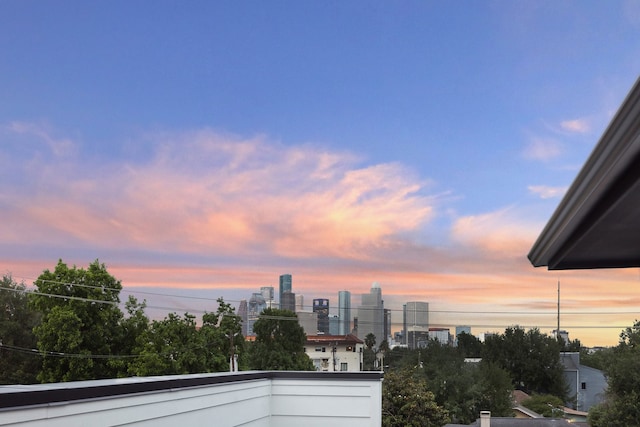 1203 Bomar St, Houston, TX 77006 - city view