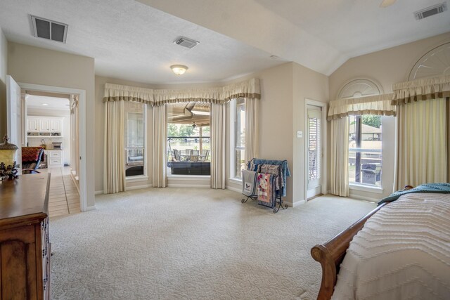 13685 Lakeside Place Dr, Willis, TX 77318 - bedroom featuring multiple windows, light colored carpet, and lofted ceiling