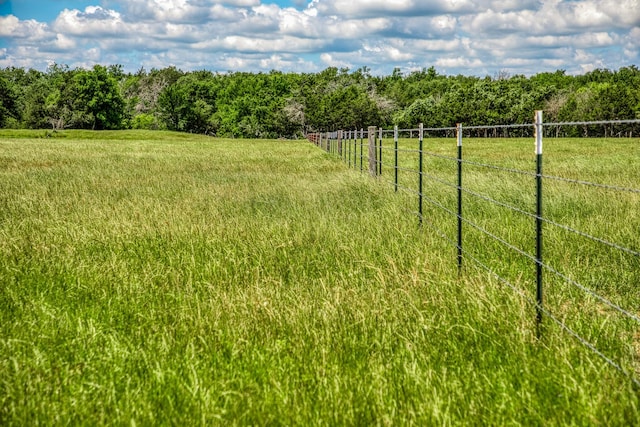 1850 Lcr 439, Groesbeck, TX 76667 - view of yard with a rural view and a view of trees
