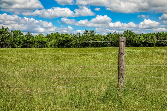1850 Lcr 439, Groesbeck, TX 76667 - view of yard