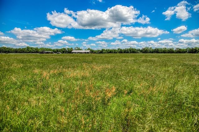 1850 Lcr 439, Groesbeck, TX 76667 - view of undeveloped land with rural landscape