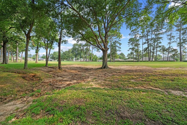 13314 Hilton Head Dr, Montgomery, TX 77356 - photo 30