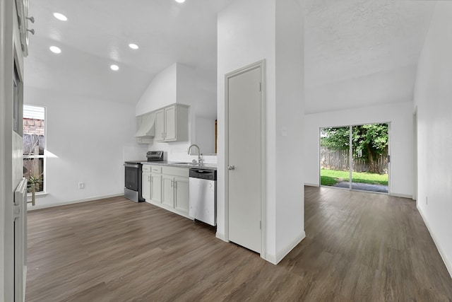 9911 Berry Limb Dr, Houston, TX 77099 - kitchen featuring appliances with stainless steel finishes, vaulted ceiling, plenty of natural light, a sink, and dark wood-style floors