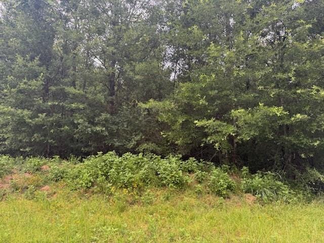 TBD Deer Trail, Livingston, TX 77351