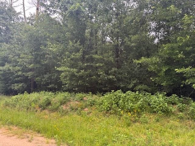 TBD Deer Trail, Livingston, TX 77351