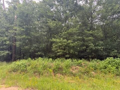 TBD Deer Trail, Livingston, TX 77351