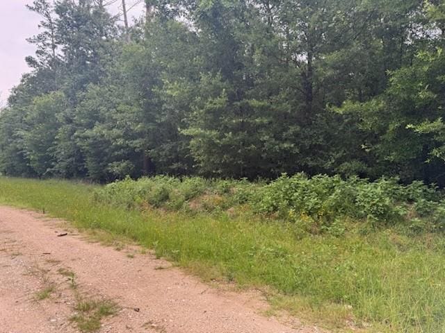 TBD Deer Trail, Livingston, TX 77351