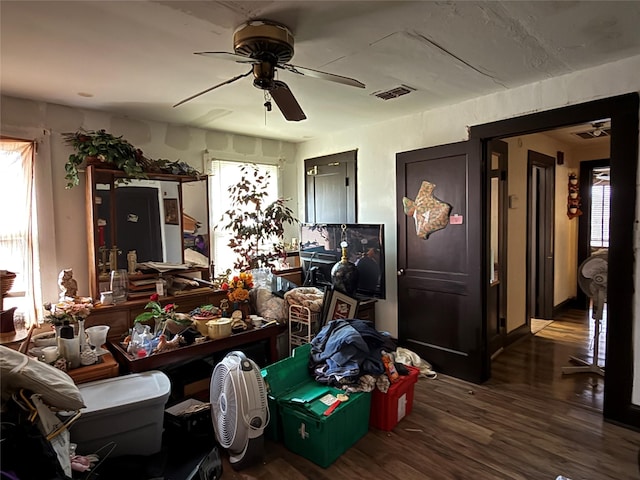 1509 Harry St, Victoria, TX 77901 - living room featuring ceiling fan, wood finished floors, and plenty of natural light