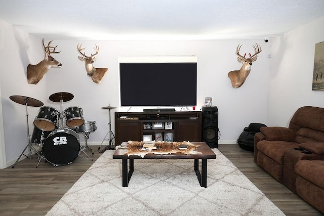 13911 W Richmond St, Needville, TX 77461 - living room with wood finished floors and baseboards