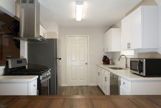 13911 W Richmond St, Needville, TX 77461 - kitchen with appliances with stainless steel finishes, exhaust hood, a sink, wood finished floors, and white cabinets