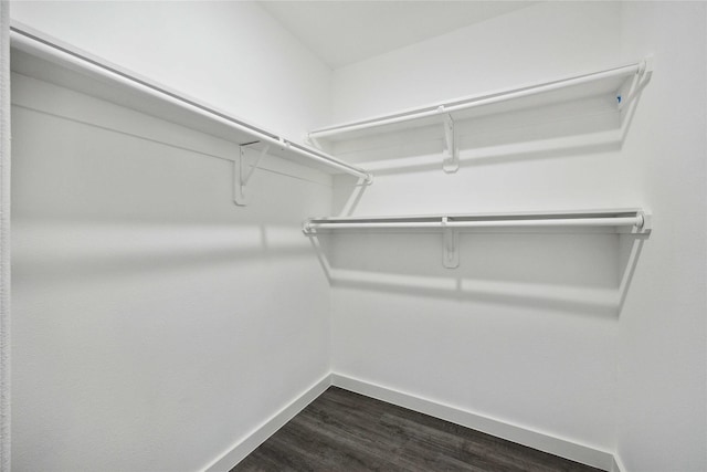2310 Wavell St, Houston, TX 77088 - spacious closet with dark wood-style floors