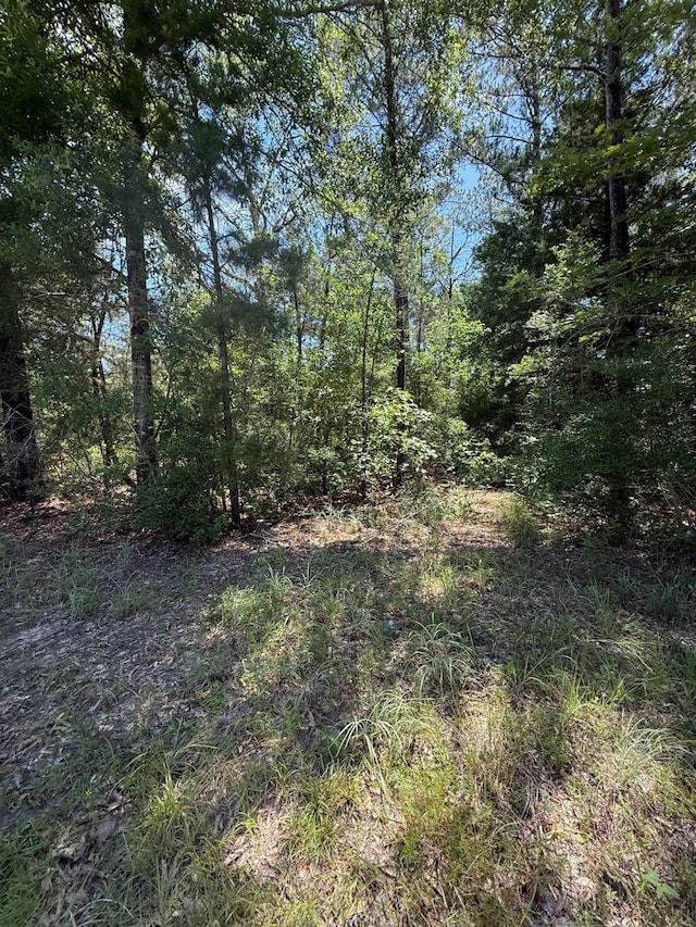 TBD Camelot Dr, Ivanhoe, TX 75979 - photo 3