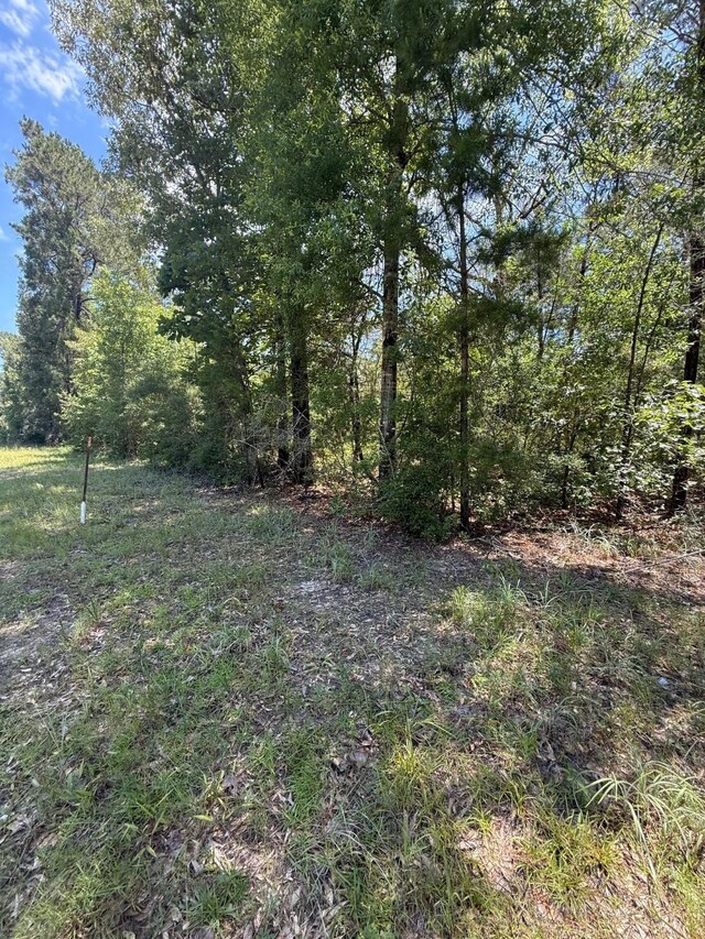 TBD Camelot Dr, Ivanhoe, TX 75979 - photo 4