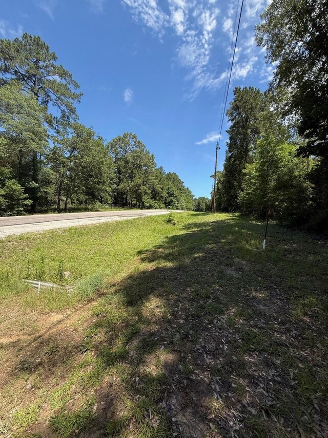 TBD Camelot Dr, Ivanhoe, TX 75979 - photo 5