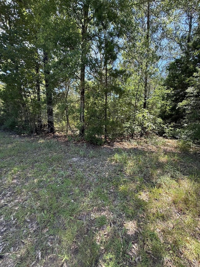 TBD Camelot Dr, Ivanhoe, TX 75979 - photo 6