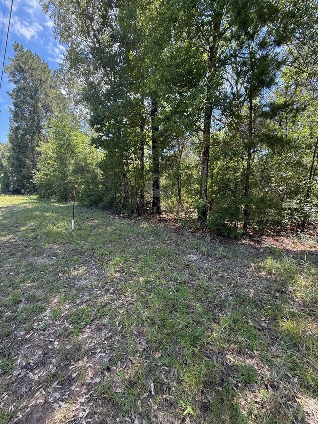 TBD Camelot Dr, Ivanhoe, TX 75979 - photo 7