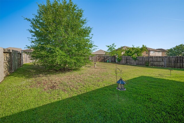 4323 N Vineyard Mdw Ln, Katy, TX 77449 - view of yard