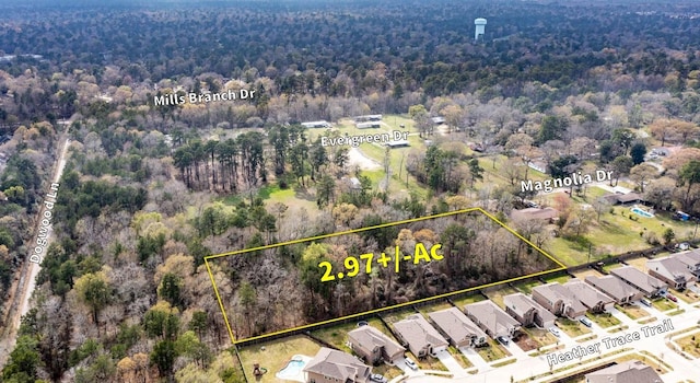 3521 Magnolia Dr, Porter, TX 77365