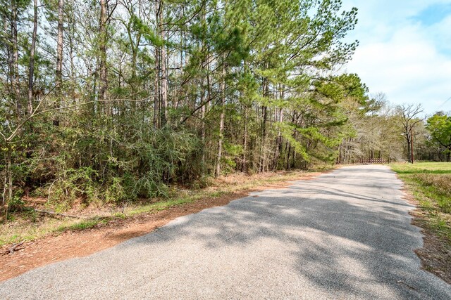 3521 Magnolia Dr, Porter, TX 77365