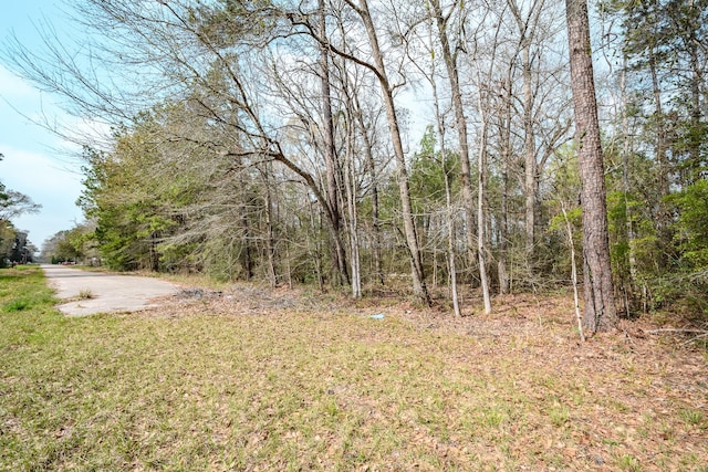 3521 Magnolia Dr, Porter, TX 77365
