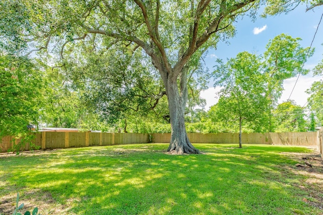 105 Wisteria St, Lake Jackson, TX 77566 - view of yard