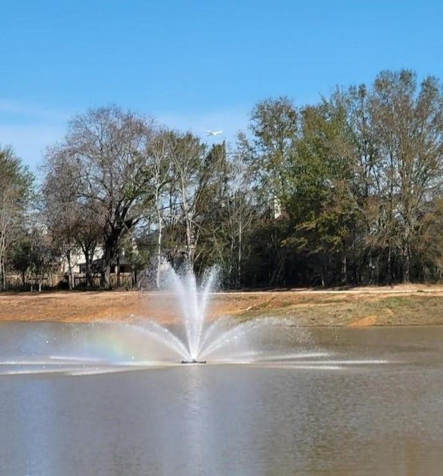 21450 Petherton Dr, Tomball, TX 77375 - view of home's community with a water view and view of wooded area