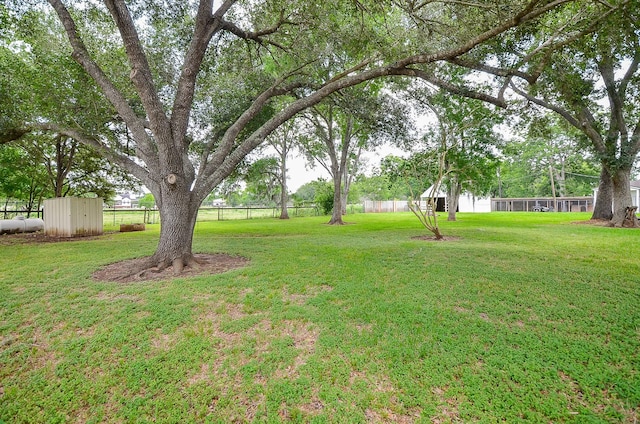 36615 Maverick Rd, Simonton, TX 77485 - view of yard