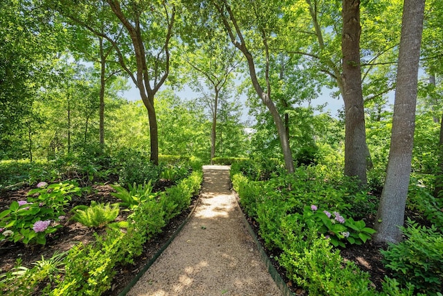 7 Woodstone St, Houston, TX 77024 - view of yard