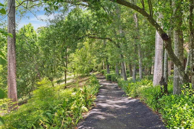 7 Woodstone St, Houston, TX 77024 - view of property's community with a forest view