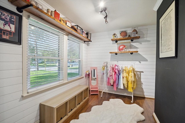 4509 Randwick Dr, Houston, TX 77092 - mudroom with wooden walls, dark wood-style flooring, track lighting, and radiator heating unit