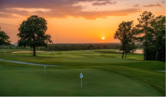 10014 Larkin Cv, Willis, TX 77318 - view of community with view of golf course, a putting area, and a lawn