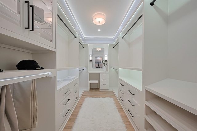 4434 Sarong Dr, Houston, TX 77096 - spacious closet featuring light wood-style floors