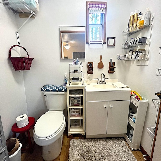 5002 Fm 811, Centerville, TX 75833 - bathroom with wood finished floors, vanity, and toilet