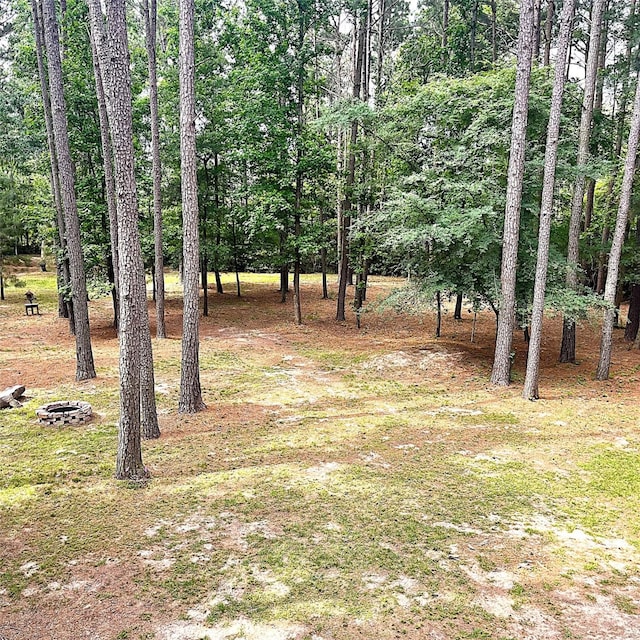 5002 Fm 811, Centerville, TX 75833 - view of yard