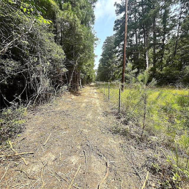 5002 Fm 811, Centerville, TX 75833 - view of local wilderness