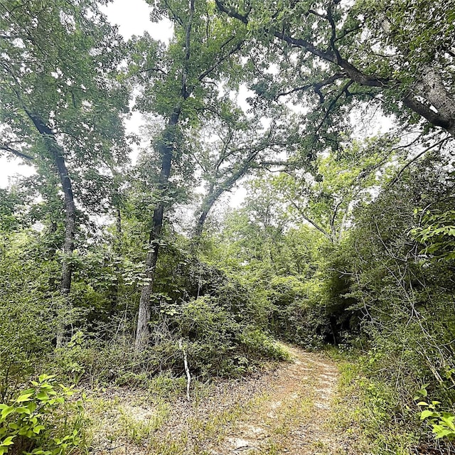 5002 Fm 811, Centerville, TX 75833 - view of nature