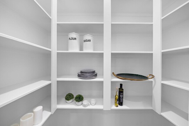 1705 Bologna Ln, Houston, TX 77055 - view of pantry