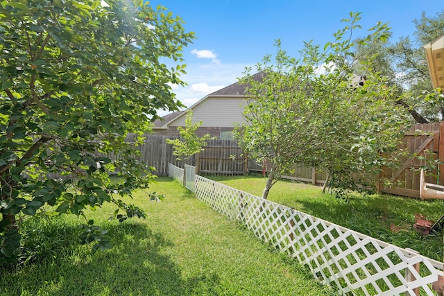 6426 Savannah Pines Dr, Katy, TX 77449 - view of yard