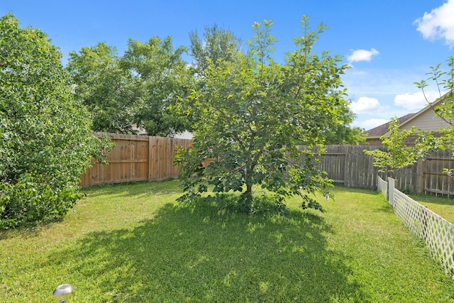 6426 Savannah Pines Dr, Katy, TX 77449 - view of yard