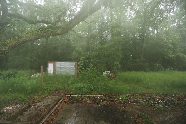 345 Byrd St, Vidor, TX 77662 - view of yard featuring a forest view and a detached garage